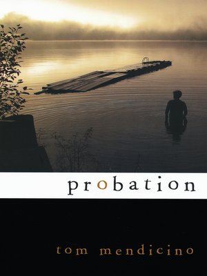 cover image of Probation